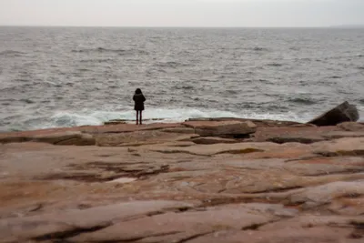 A person stands on a rocky, reddish-brown shore, looking out at a grey, choppy ocean under an overcast sky. The individual, seen from behind, wears a dark coat, with waves breaking against the rocks near their feet.