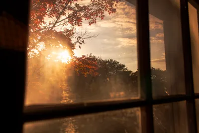 Golden sunlight streams through a window, illuminating autumn leaves on trees outside. The sun’s rays are visible through the slightly dusty window pane, with reddish-orange foliage prominent in the foreground and darker trees in the background under a cloudy sky. The window frame is dark and partially visible on the left and right sides.