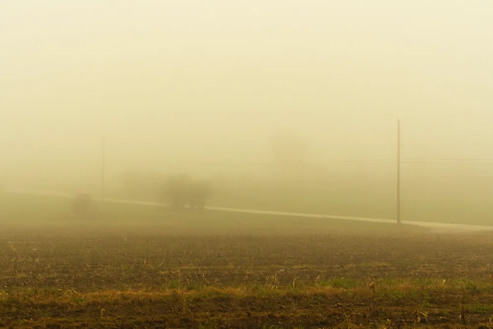 A yellow tinted photograph looking across a field, bisected by a road with telephone poles that disappear into the fog.