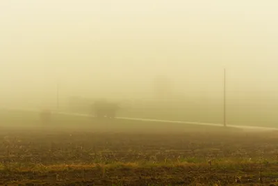 A yellow tinted photograph looking across a field, bisected by a road with telephone poles that disappear into the fog.