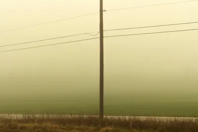 A utility pole stands in the center of a misty, rural landscape. The sky is a hazy, pale yellow-green, fading into a darker green field. In the foreground, there’s a strip of dry, brown grass and a thin, light-colored line of a road. Three power lines stretch horizontally across the upper half of the image from the pole.